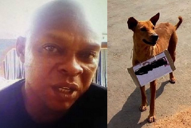 Man who named his dog Buhari 1