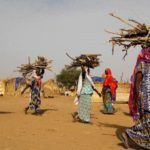 Gender Inequality Hampers African Human Development Economic Growth