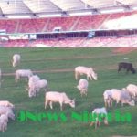 Herdsmen turn National stadium Abuja to grazing ground