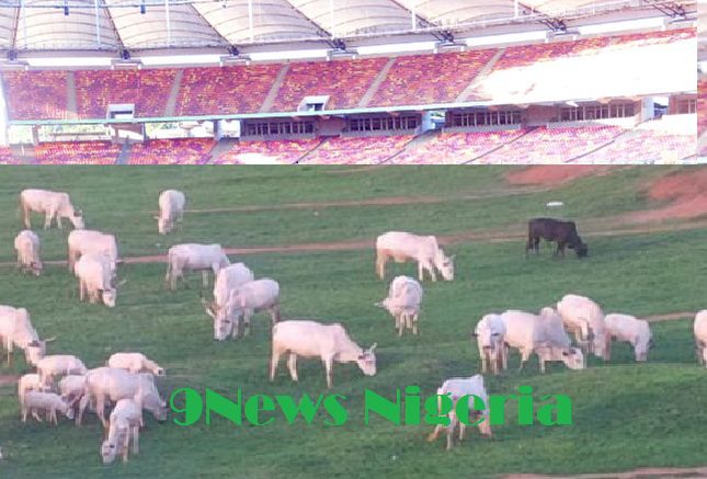 Herdsmen turn National stadium Abuja to grazing ground