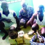 Herbalist alfa arrested in Ogun for killing 16 year old