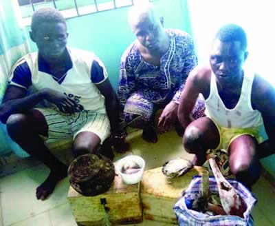 Herbalist alfa arrested in Ogun for killing 16 year old