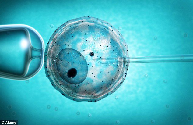 insemination