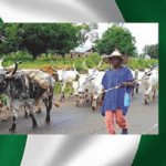 FGN Grazing Reserve