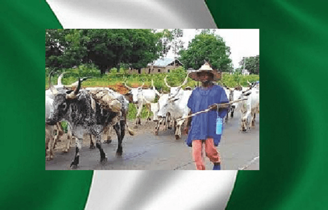 FGN Grazing Reserve