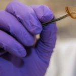 Your Hair Could Identify You