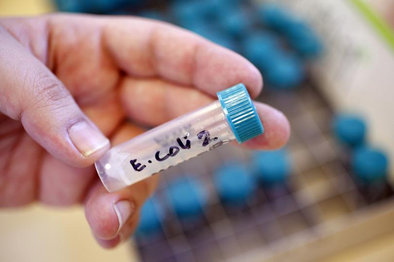 Drug Resistance