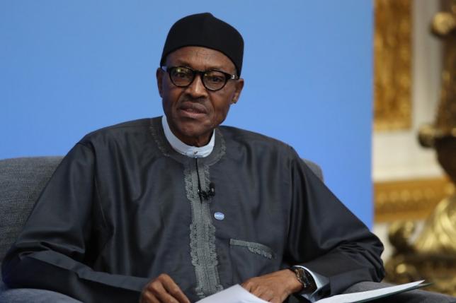 Buhari asking for support of professionals