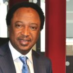 Dangote Saraki others demanding asset sale are “economic predators” – Shehu Sani