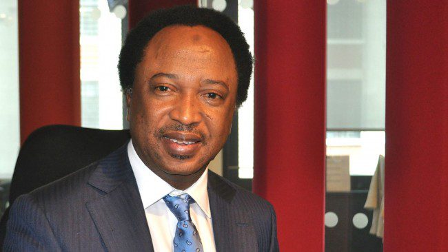 Dangote Saraki others demanding asset sale are “economic predators” – Shehu Sani