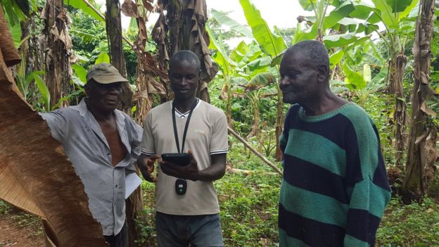 How farmers can end land disputes and produce more food
