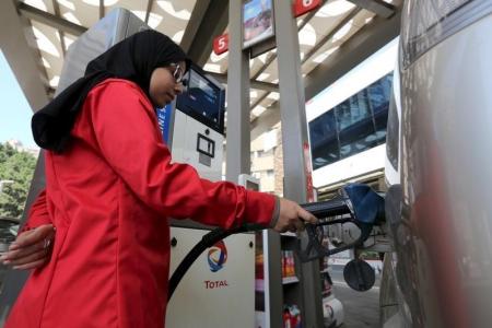 Egypt petrol subsidy bill down 29 pct in 2015 2016