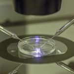 Worlds First Baby Born with DNA from 3 Parents Scientists Announce