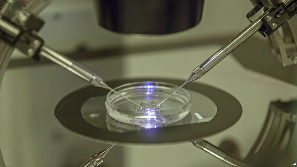 Worlds First Baby Born with DNA from 3 Parents Scientists Announce