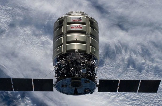 Cygnus
