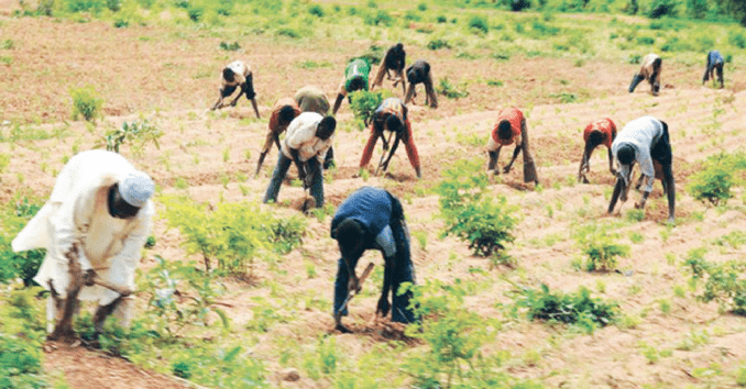 farmers at work agriculture