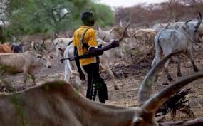 herdsman