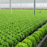 FG to spend N30bn to develop agro industrial hub – Ogbeh 600x381