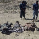 Ten bodies bearing signs of torture found in Libyas Benghazi official