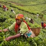 Rwanda economy