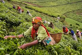Rwanda economy