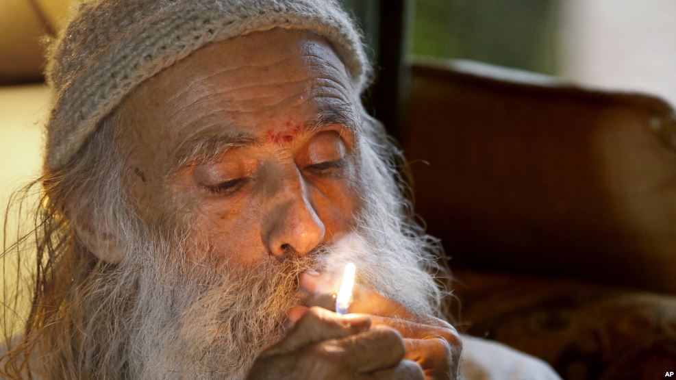 Voters Could Legalize Marijuana for Quarter of All Americans
