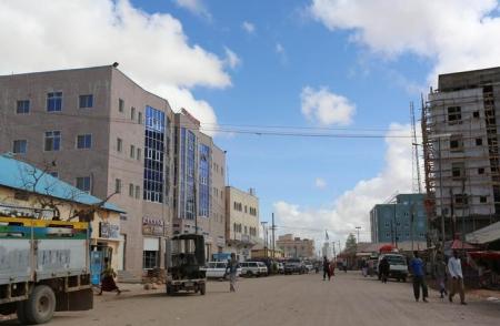 U.S. air strike in Somalia killed local militia not al Shabaab