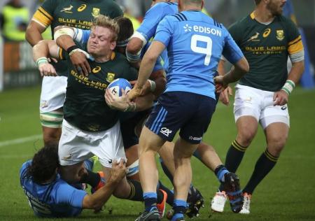 South Africa apologise after Italy humiliation