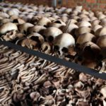 French officials linked to 1994 Rwandan genocide prosecutor