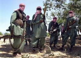 Insurgents behead Somali village elders over Islamic