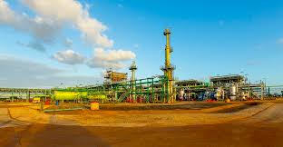 Mozambique oil and gas contracts to be signed early next year