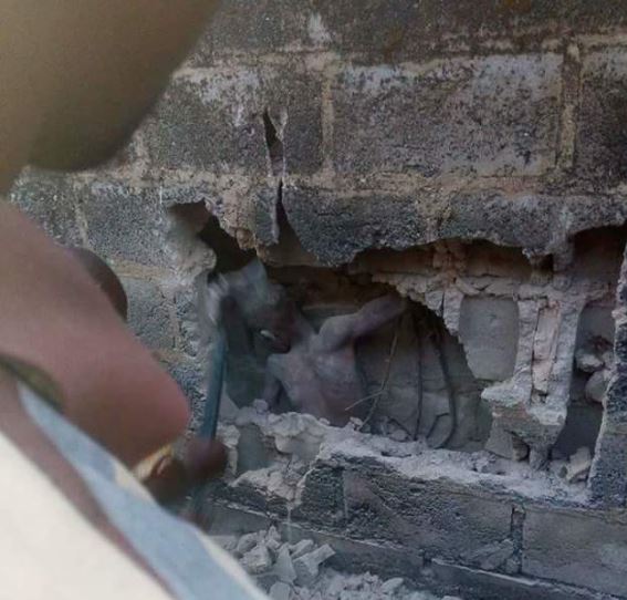 Wonders Mysterious 12 year old boy found alive in cemented bricks