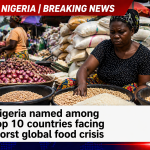 Nigeria food market