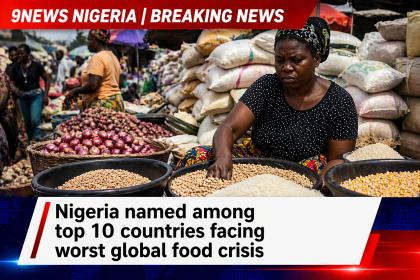 Nigeria food market