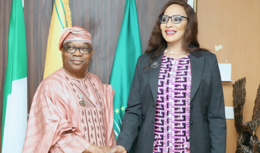 Minister of State, Sola Enikanolaiye and Foreign Affairs Minister, Bianca Odumegwu Ojukwu