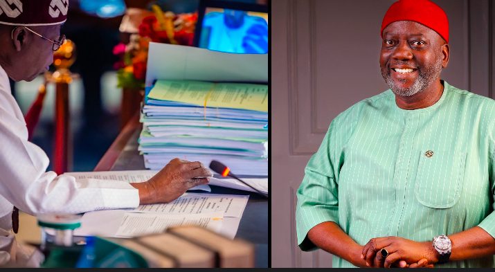 Longers Anyanwu Hails Tinubu’s Reforms, State Police, NIMC Act 2 IMG 4927